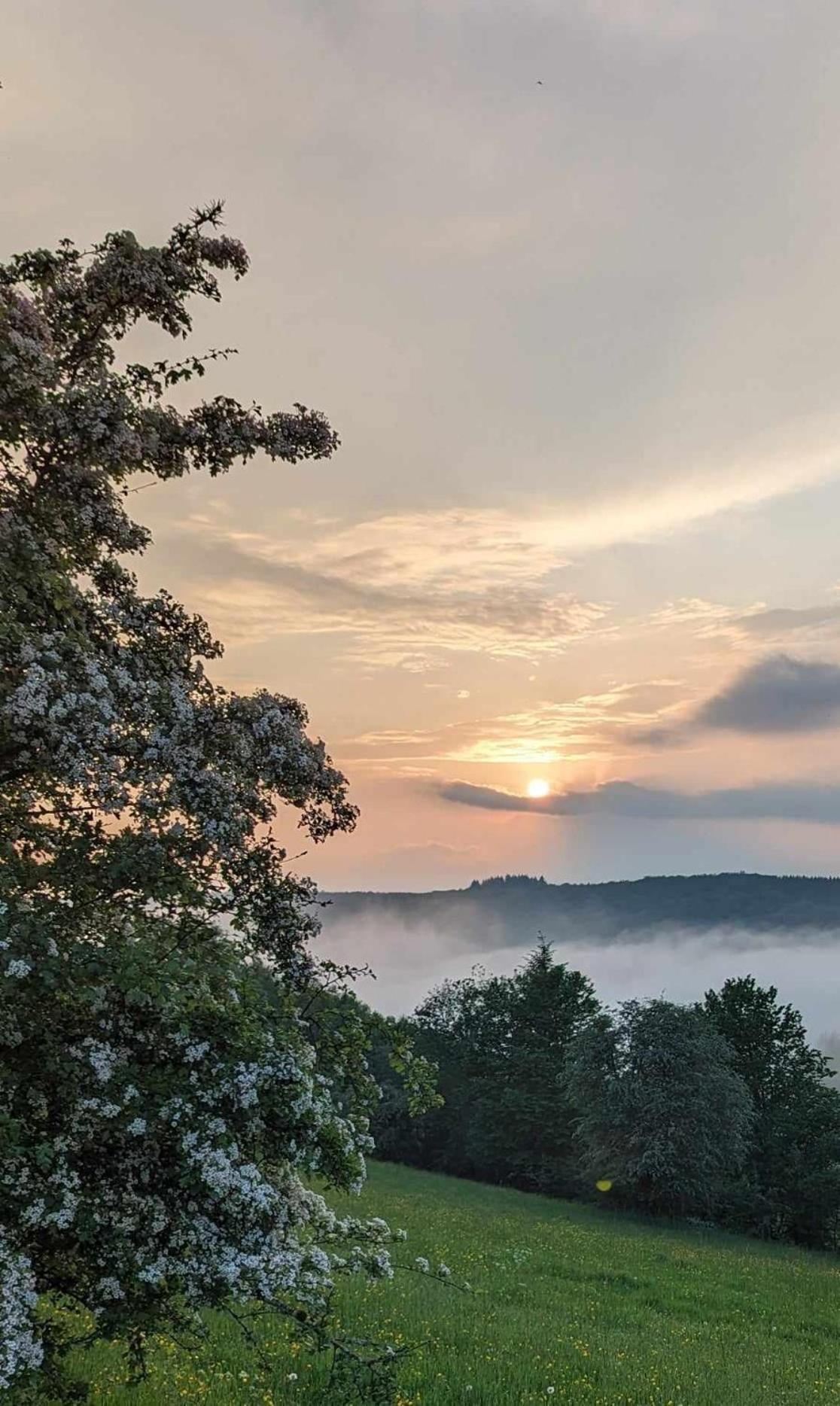 Hébergement de vacances Maison Ardennaise A Corbion-sur-semois Bouillon